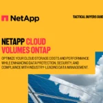 NETAPP CLOUD VOLUMES ONTAP