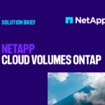 NETAPP CLOUD VOLUMES ONTAP